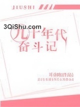 九十年代奋斗记小说
