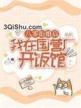 八零拒婚后，我在国营厂开饭馆小说