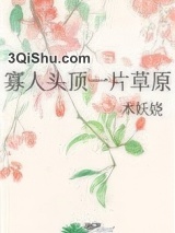 寡人头顶一片草原小说