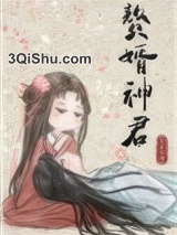 赘婿神君小说