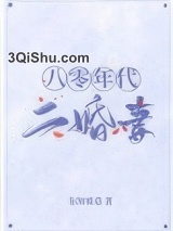 八零年代二婚妻小说