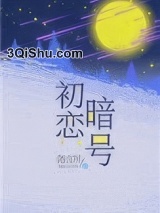 初恋暗号小说