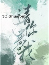 请你在意我小说