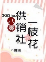 八零供销社一枝花小说