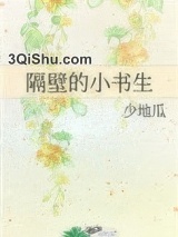 隔壁的小书生小说
