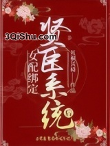 女配绑定贤臣系统后小说