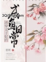 清穿太子妃的咸鱼日常小说