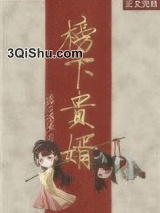 榜下贵婿小说