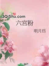 六宫粉小说
