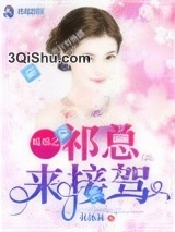 暖婚之祁总来接驾小说