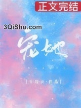 宠她小说