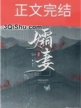 孀妻（重生）小说