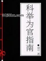 科举为官指南小说