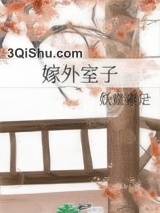嫁外室子小说