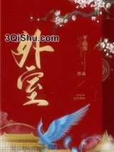 外室（作者：平山客）小说