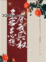 王爷总想夺我兵权小说