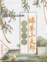 喂养一个绿茶小夫郎小说