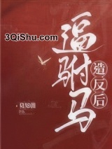 逼驸马造反后小说