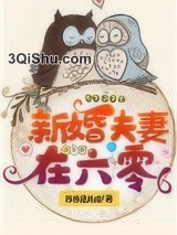 新婚夫妻在六零小说