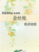 金丝帐小说