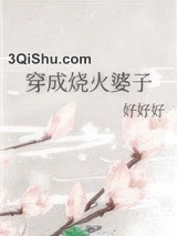 穿成烧火婆子小说