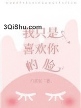 我只是喜欢你的脸小说