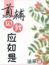 首辅见我应如是小说