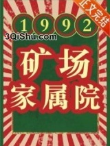 1992 矿场家属院小说