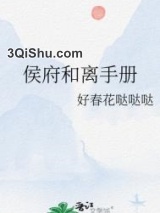 侯府和离手册小说