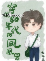 穿成80年代的凤凰男小说