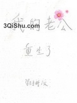 我的老公重生了小说