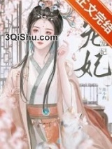 宠妃小说