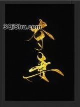 夺妻（软骨香）小说