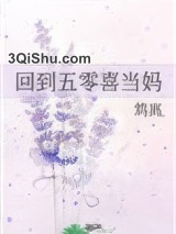回到五零喜当妈小说