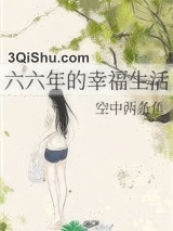 六六年的幸福生活小说