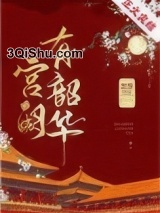 宫阙有韶华小说