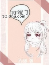 偏宠佳人小说