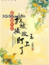 替葬重生后我被摄政王盯上了小说