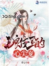 无良佞王的心尖宠小说