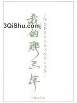 我的那三年小说