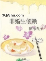 非婚生依赖小说