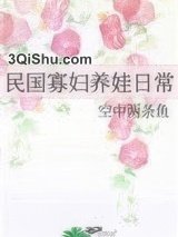 民国寡妇养娃日常小说