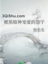 被黑暗神宠爱的日子小说