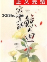 寂寞的鲸鱼小说