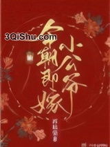 今朝即嫁小公爷小说