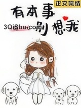 有本事，别想我小说