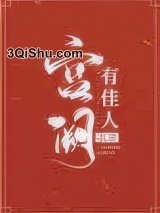 宫阙有佳人小说