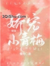 娇宠小青梅小说
