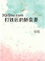 打铁匠的娇蛮妻小说