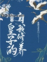 清穿之皇子的自我修养小说